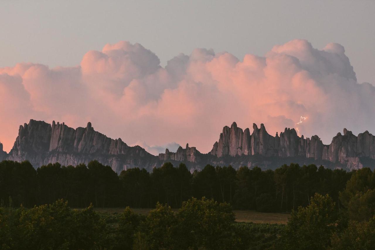 Les Cabanes De L'Oller Del Mas Manresa Buitenkant foto