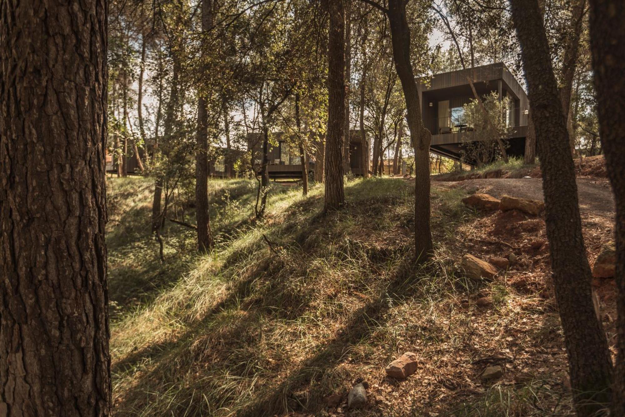 Les Cabanes De L'Oller Del Mas Manresa Buitenkant foto