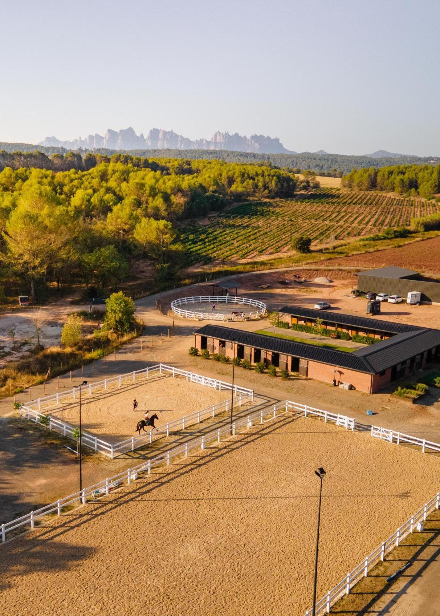 Les Cabanes De L'Oller Del Mas Manresa Buitenkant foto